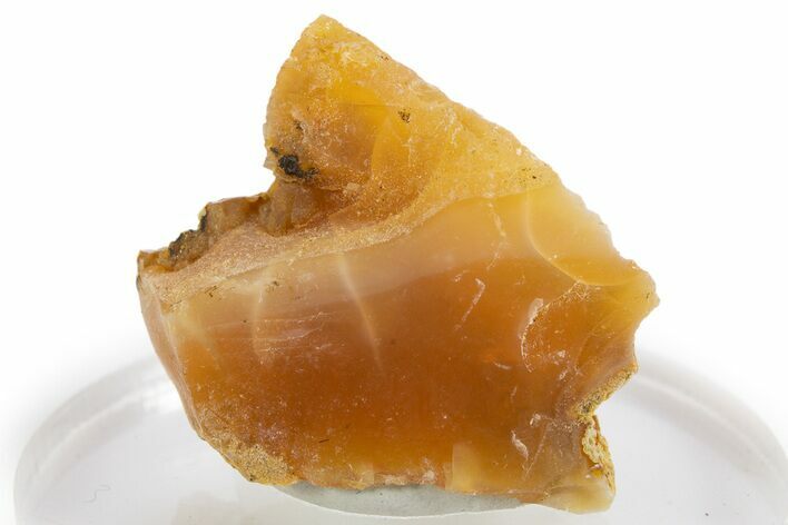 Rough Oregon Fire Opal #324014